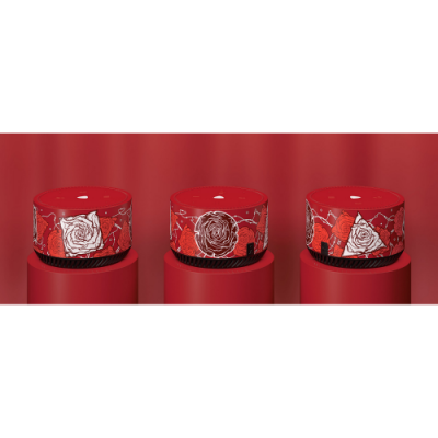 Customized Yandex.Light Rainbo Station "Desert Roses"
