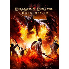 Dragons Dogma: Dark Arisen PC  s 2 [Steam  UK]