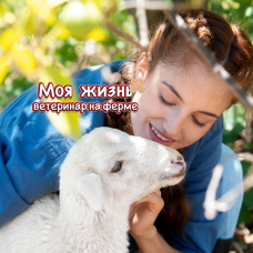 Моя жизнь: ветеринар на ферме
