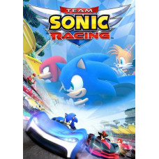 Team Sonic Racing Switch EU [Nintendo  EU]